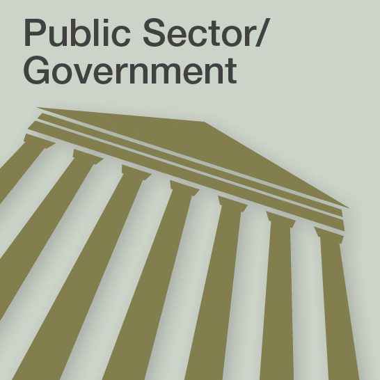 Public sector / Government